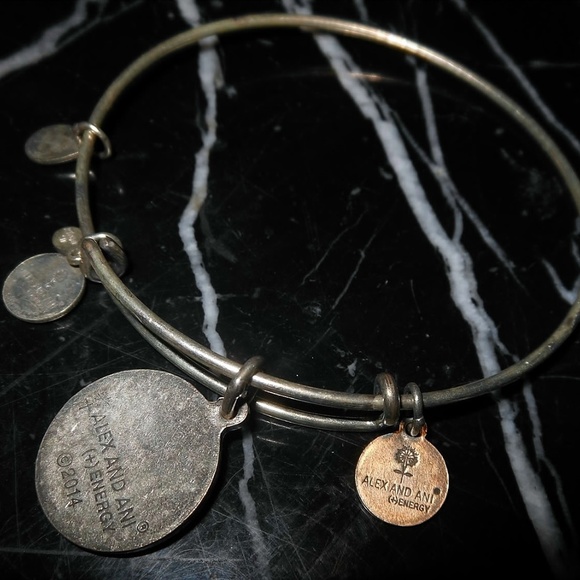 Alex and Ani Love Charm Rafaelian Silver Bangle Br - Picture 5 of 5